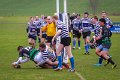 Monaghan 2nd XV Vs CIYMS March 14th 2015 (11)
